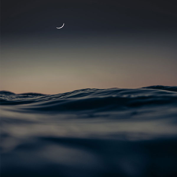 Répétition ouverte de La Nuit des rois